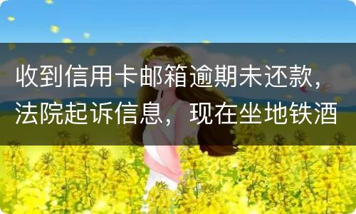 收到信用卡邮箱逾期未还款，法院起诉信息，现在坐地铁酒店开房会不会被抓