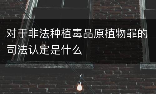 对于非法种植毒品原植物罪的司法认定是什么
