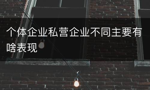 个体企业私营企业不同主要有啥表现