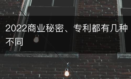 2022商业秘密、专利都有几种不同