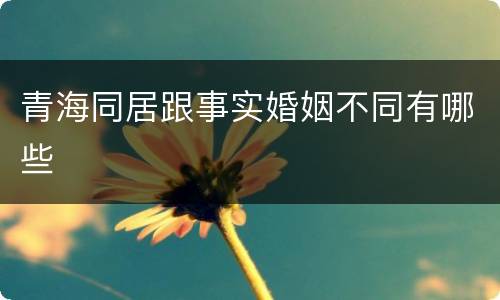 青海同居跟事实婚姻不同有哪些