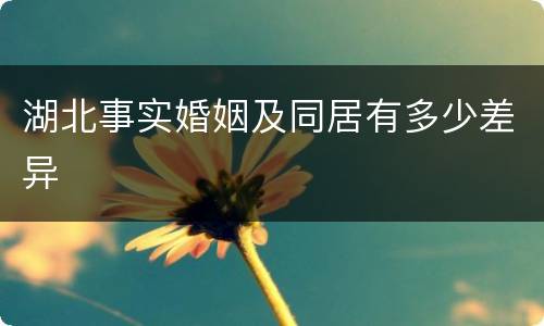 湖北事实婚姻及同居有多少差异