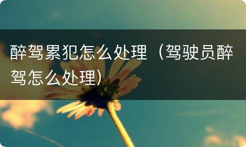 醉驾累犯怎么处理（驾驶员醉驾怎么处理）