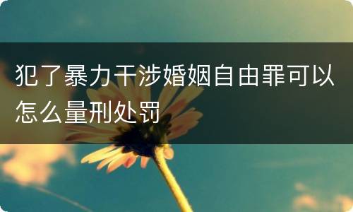 犯了暴力干涉婚姻自由罪可以怎么量刑处罚