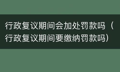 行政复议期间会加处罚款吗（行政复议期间要缴纳罚款吗）