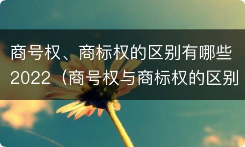商号权、商标权的区别有哪些2022（商号权与商标权的区别）