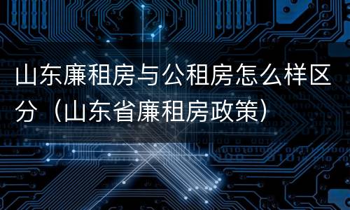 山东廉租房与公租房怎么样区分（山东省廉租房政策）