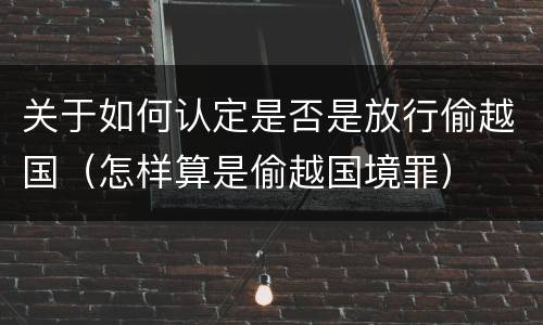 关于如何认定是否是放行偷越国（怎样算是偷越国境罪）