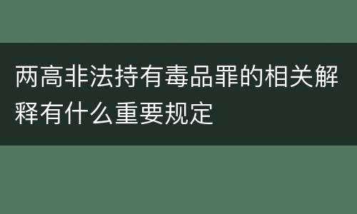 两高非法持有毒品罪的相关解释有什么重要规定