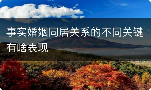 事实婚姻同居关系的不同关键有啥表现