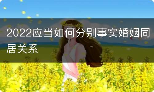 2022应当如何分别事实婚姻同居关系