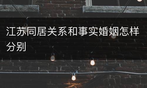 江苏同居关系和事实婚姻怎样分别