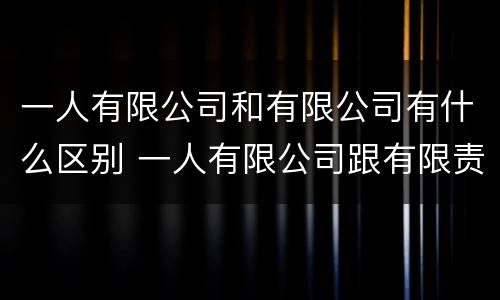 一人有限公司和有限公司有什么区别 一人有限公司跟有限责任公司的区别