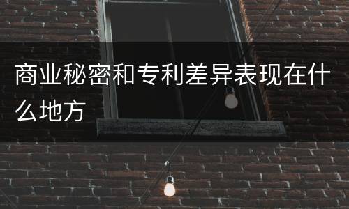 商业秘密和专利差异表现在什么地方