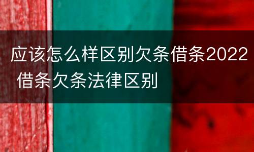 应该怎么样区别欠条借条2022 借条欠条法律区别