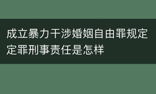 成立暴力干涉婚姻自由罪规定定罪刑事责任是怎样