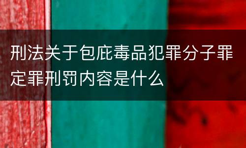 刑法关于包庇毒品犯罪分子罪定罪刑罚内容是什么