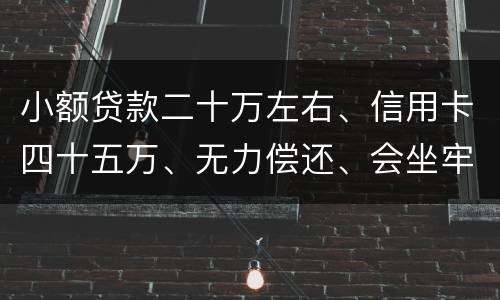 小额贷款二十万左右、信用卡四十五万、无力偿还、会坐牢