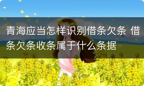 青海应当怎样识别借条欠条 借条欠条收条属于什么条据