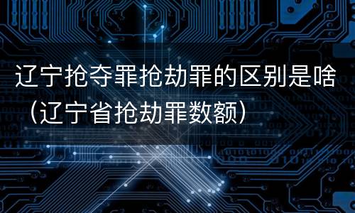 辽宁抢夺罪抢劫罪的区别是啥（辽宁省抢劫罪数额）