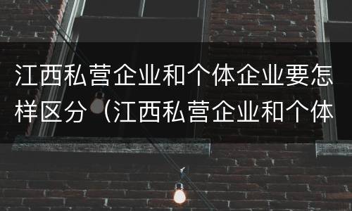 江西私营企业和个体企业要怎样区分（江西私营企业和个体企业要怎样区分呢）