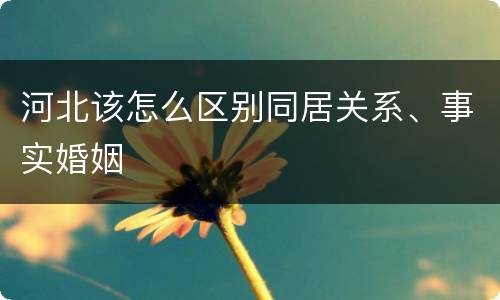 河北该怎么区别同居关系、事实婚姻