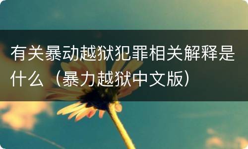 有关暴动越狱犯罪相关解释是什么（暴力越狱中文版）