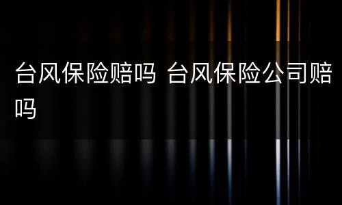 台风保险赔吗 台风保险公司赔吗