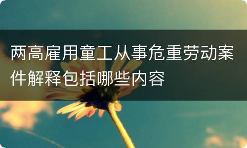 两高雇用童工从事危重劳动案件解释包括哪些内容