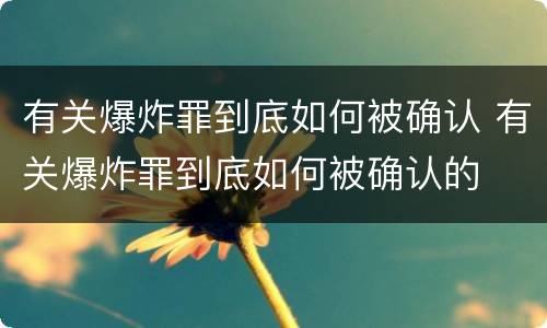 有关爆炸罪到底如何被确认 有关爆炸罪到底如何被确认的