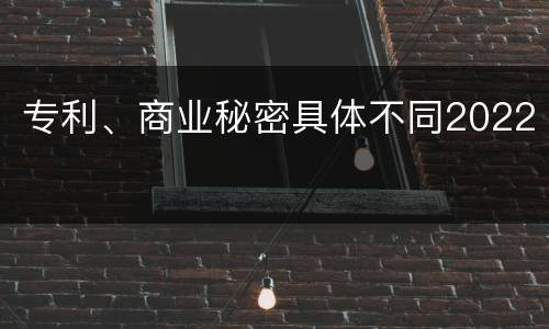 专利、商业秘密具体不同2022