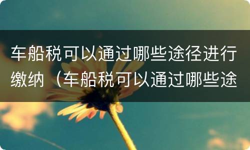 车船税可以通过哪些途径进行缴纳（车船税可以通过哪些途径交费）