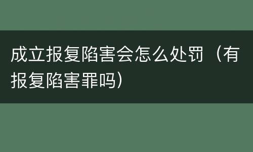 成立报复陷害会怎么处罚（有报复陷害罪吗）