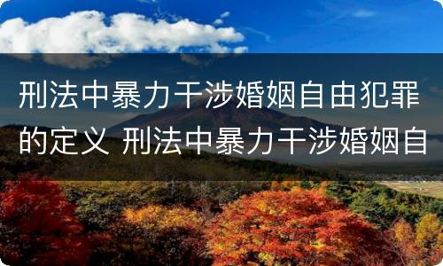 刑法中暴力干涉婚姻自由犯罪的定义 刑法中暴力干涉婚姻自由犯罪的定义是什么