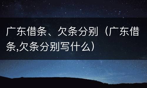 广东借条、欠条分别（广东借条,欠条分别写什么）