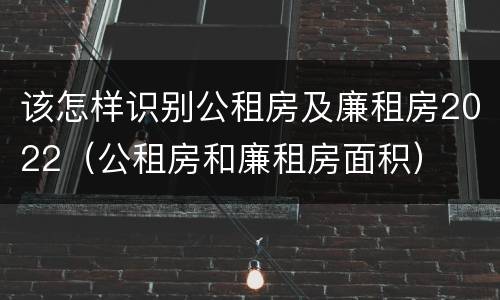 该怎样识别公租房及廉租房2022（公租房和廉租房面积）