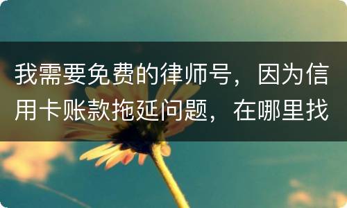 我需要免费的律师号，因为信用卡账款拖延问题，在哪里找