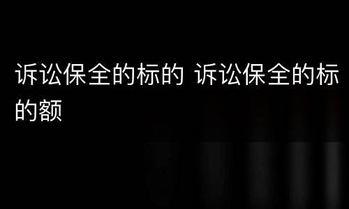 诉讼保全的标的 诉讼保全的标的额