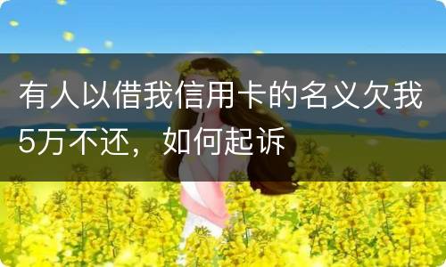 有人以借我信用卡的名义欠我5万不还，如何起诉