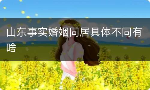 山东事实婚姻同居具体不同有啥