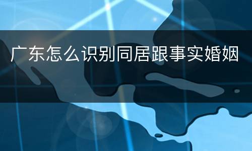 广东怎么识别同居跟事实婚姻