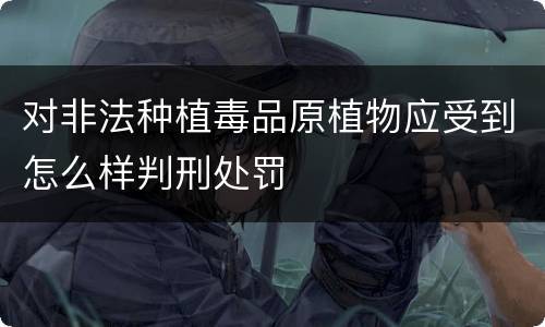 对非法种植毒品原植物应受到怎么样判刑处罚
