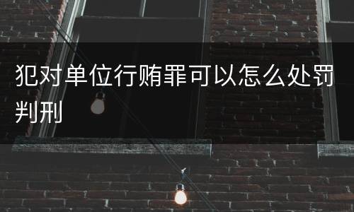 犯对单位行贿罪可以怎么处罚判刑