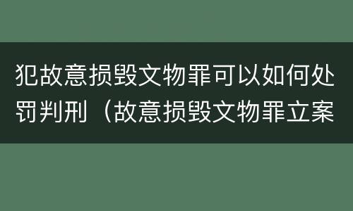 犯故意损毁文物罪可以如何处罚判刑（故意损毁文物罪立案标准）
