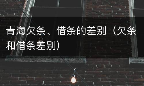 青海欠条、借条的差别（欠条和借条差别）