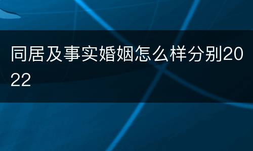 同居及事实婚姻怎么样分别2022