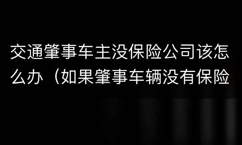 交通肇事车主没保险公司该怎么办（如果肇事车辆没有保险怎么办）