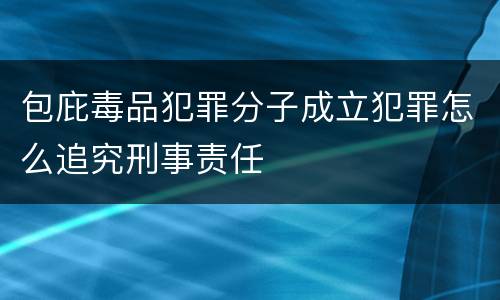 包庇毒品犯罪分子成立犯罪怎么追究刑事责任