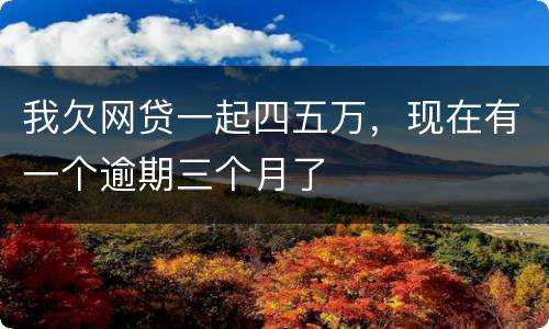 我欠网贷一起四五万，现在有一个逾期三个月了
