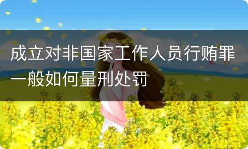 成立对非国家工作人员行贿罪一般如何量刑处罚